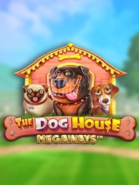 the dog house megaways